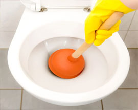 Unclog Toilet