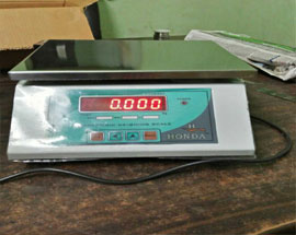 Weighing Scale Repair