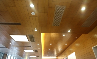 Ceiling Lights