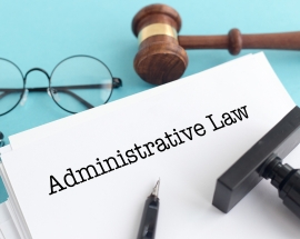 Public and Administrative Lawyer